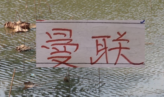 世界杯手机观看下载-有排面！U23国足上了《新闻联播》 曼联B费再次入选英超单轮MVP