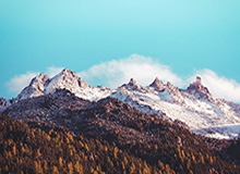 世界杯手机观看下载-F1巴林站汉密尔顿夺第98杆 梅奔包揽发车头排